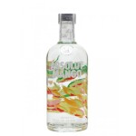 ABSOLUT VODKA MANGO 70 CL